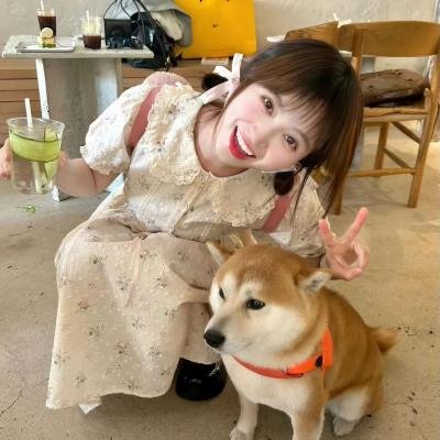 木乃伊杜米